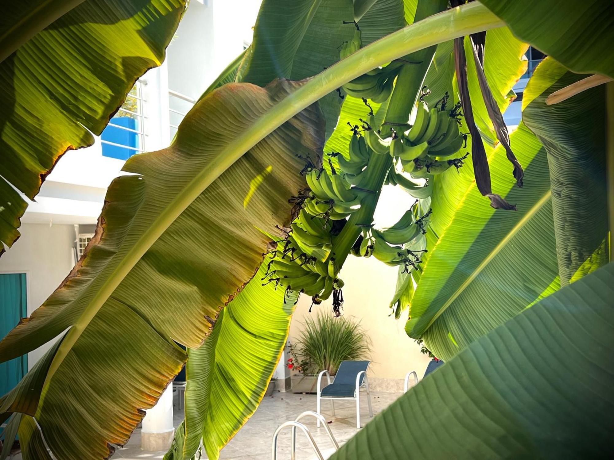 Charme 64 Hotel Boutique Cartagena 外观 照片